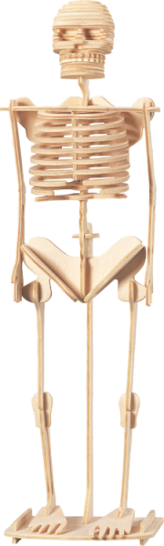 images/stories/virtuemart/product/PNG/P076.png